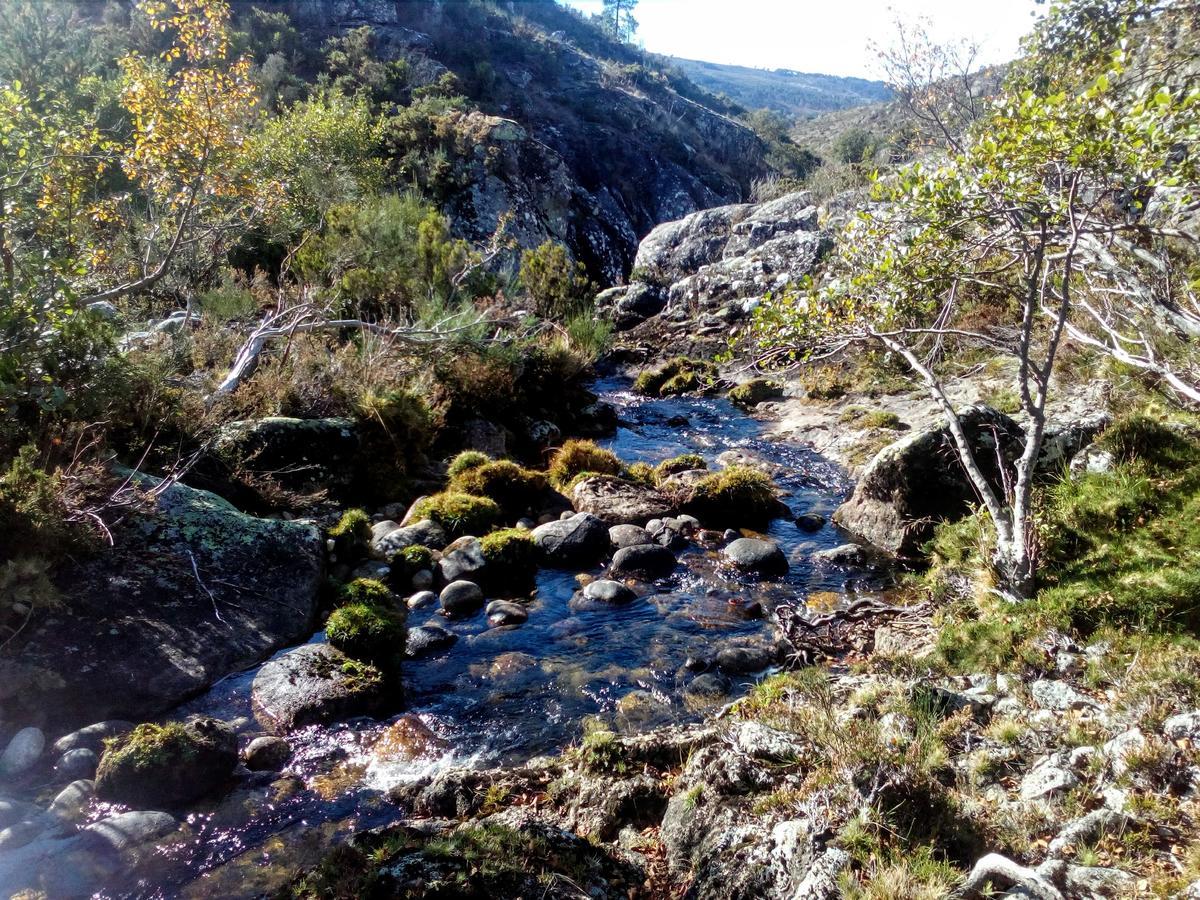 Miradouro Da Branda Βίλα Branda de Santo António Εξωτερικό φωτογραφία