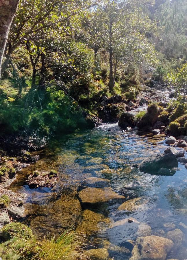 Miradouro Da Branda Βίλα Branda de Santo António Εξωτερικό φωτογραφία