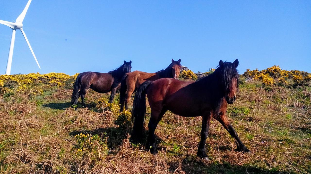 Miradouro Da Branda Βίλα Branda de Santo António Εξωτερικό φωτογραφία